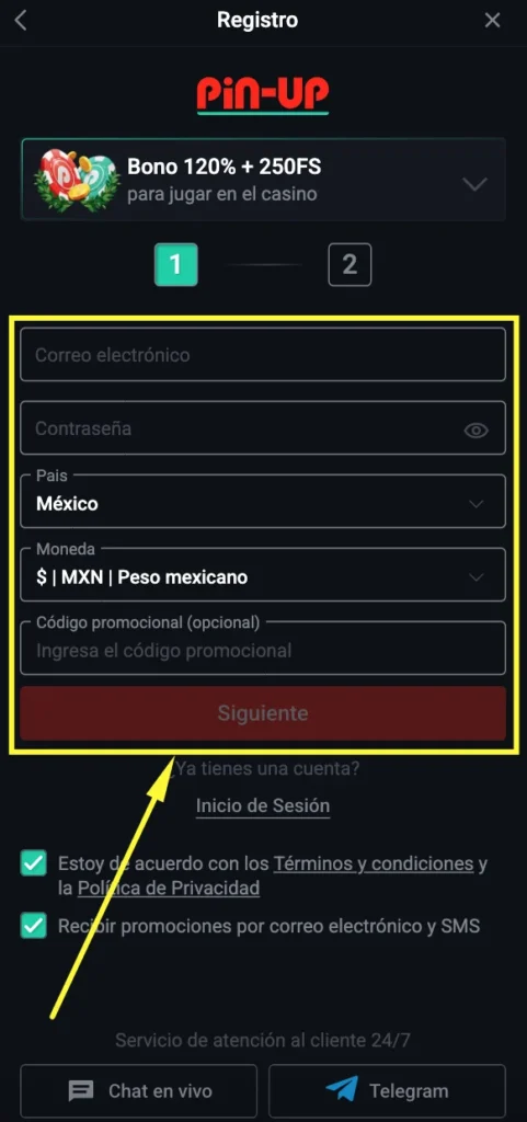 Proceso de registro en Pin Up México explicado paso a paso reg 