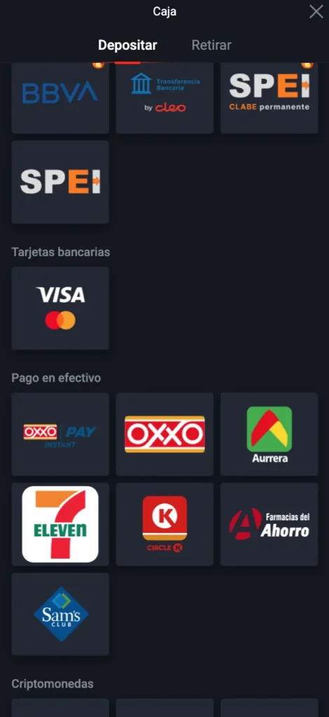 Opciones de métodos de pago en Pin Up México para jugadores mexicanos oll