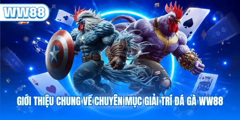 Giới thiệu chung về chuyên mục giải trí đá gà WW88